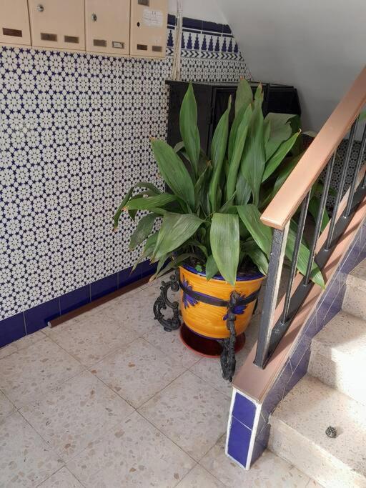 Disfruta De Un Barrio Tranquilo Apartment Alcala de Guadaira Luaran gambar